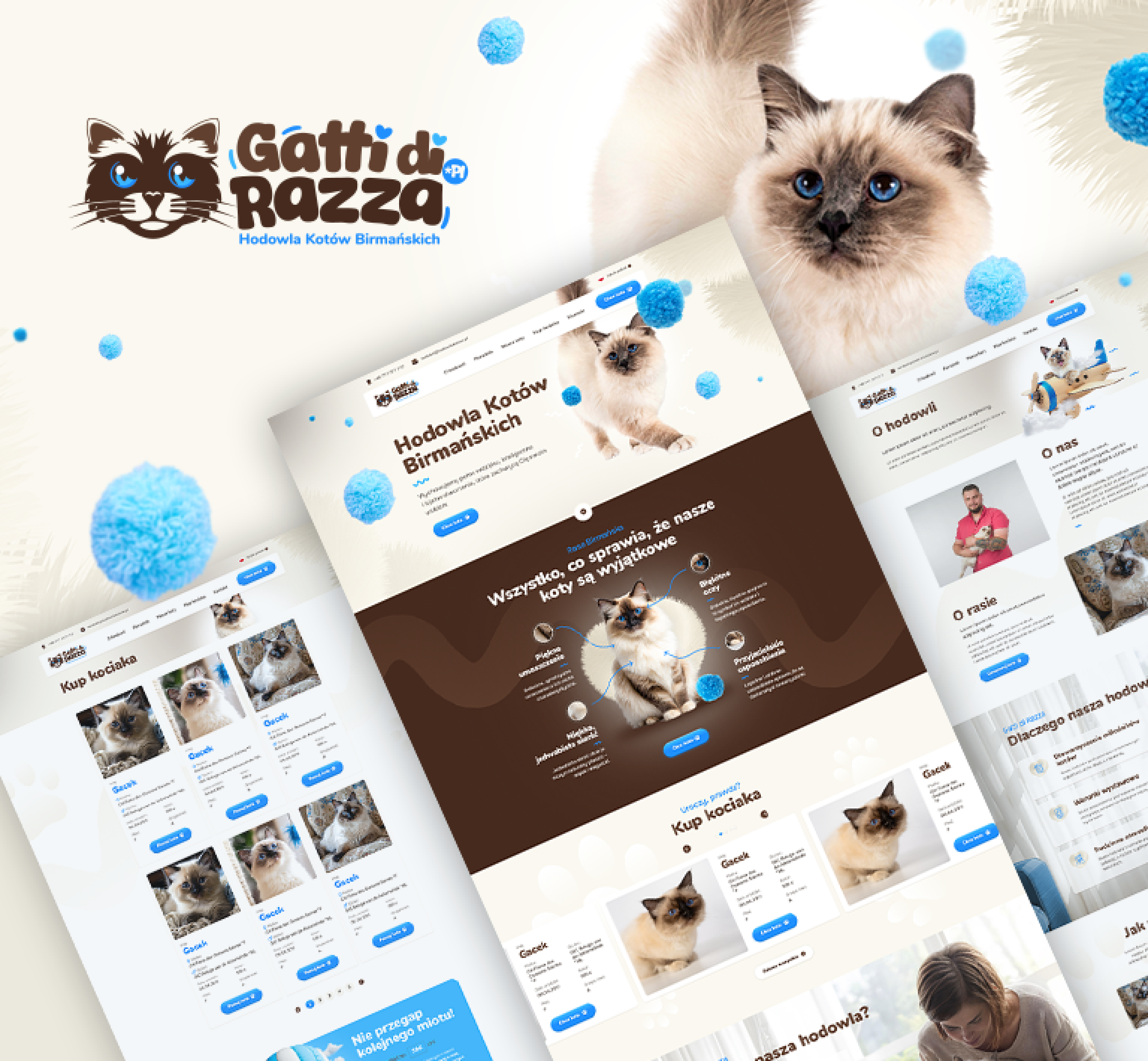 Gatti di Razza