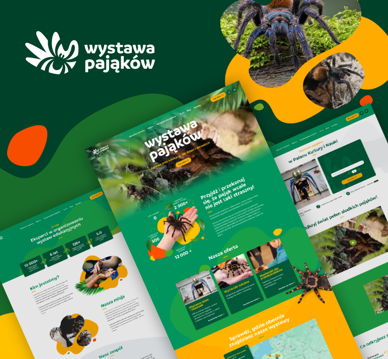Spider Exhibition